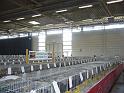 Muenster 2008 010
